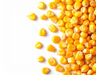 Dried corn kernels on white background
