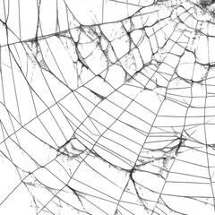 Close up of a cracked glass in black and white