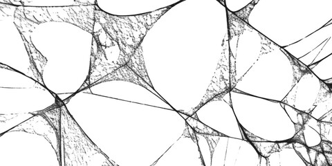 Dense spider web, a complex and fragile structure