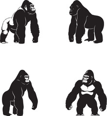 Gorilla Silhouette Set – Primate Vector Illustrations for Wildlife, Evolution, and Animal Anatomy Themes © Hamza