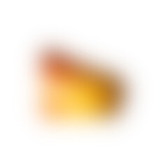 Amber liquid in a clear glass, closeup shot