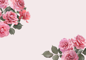 Floral banner, header with copy space. Pink roses isolated on light pastel background. Natural flowers wallpaper or greeting card.