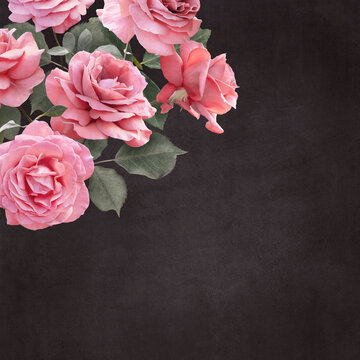 Floral card with copy space. Pink roses on dark textured grange background. Bouquet of garden flowers.
