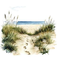 Pathway to the beach art on transparent background