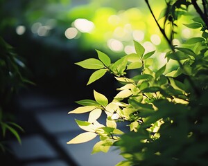 Sunlight filters through lush green leaves (2)