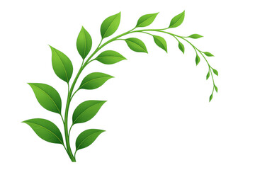 Fototapeta premium Green plant branch with fresh natural leaves and stem on transparent background growing concept