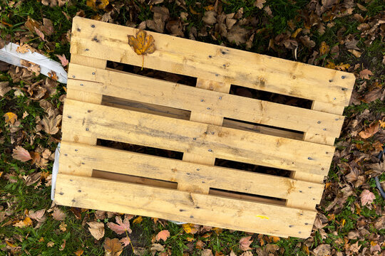 Wood pallet resting on fallen autumn leaves in a park. Top view.