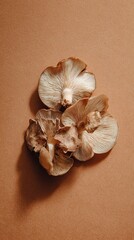 Delicate presentation of sauteed wild Tente mushrooms, dish from Zambia on brown background, minimalist food photo, template for social media, digital ads, web banners, mobile wallpaper, greeting card