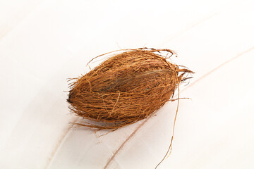 Natural exotic brown hairy coconut