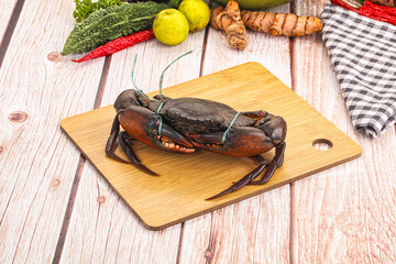 Wild raw crab for cooking