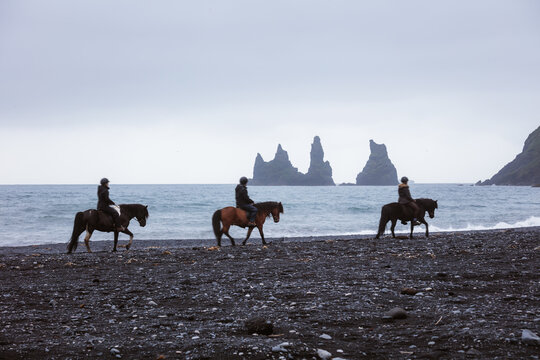 Tourists riding horses on a black sand beach, Vik, Iceland