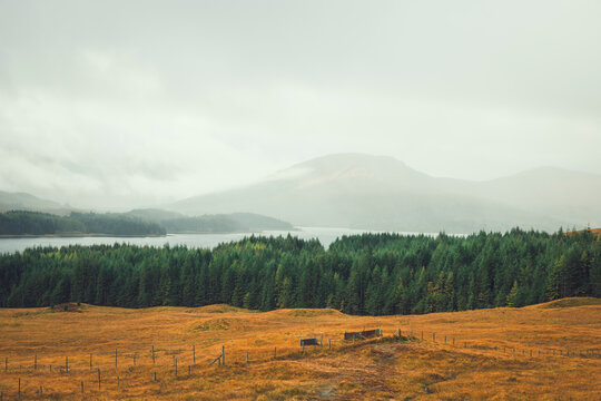 three colors of the autumn in the same photo