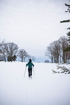 Woman happily cross country skiing in winter