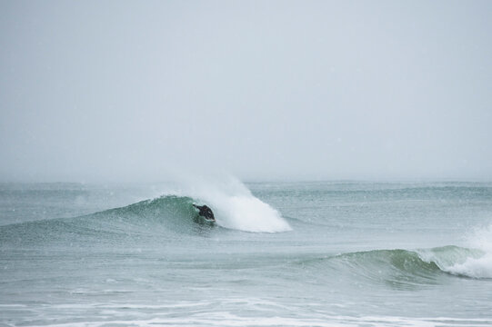 Solo man surfing during snow in winter