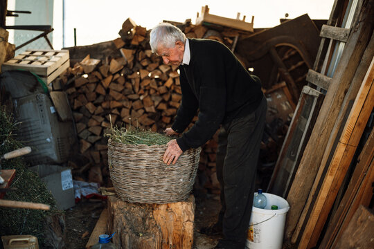Elderly man arranging hay in a woven basket