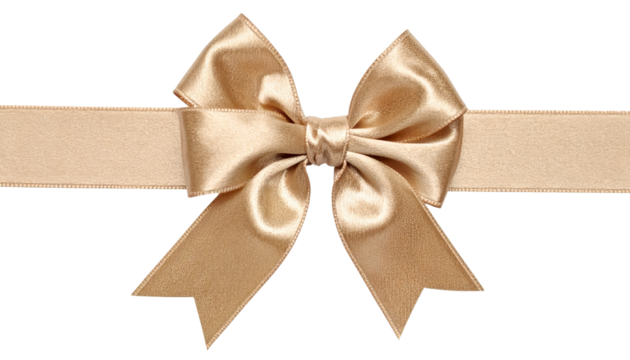 bow rinbbon decorative gift present isolated on transparent png
