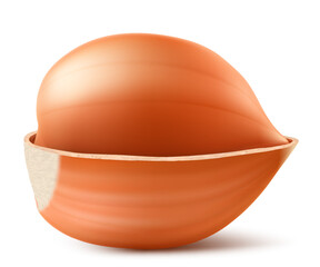 Half Peeled Hazelnuts Isolated on White Background. Hazelnut kernels are ripe and tasty, a healthy treat, a source of protein. For snacks and chocolate spread. Realistic 3d vector illustration.