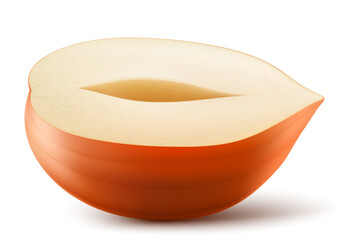 Half of a hazelnut isolated on a white background. Hazelnut in cross section. Hazelnut kernels are ripe and tasty, a healthy treat, a source of protein. Realistic 3d vector illustration.