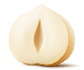 Half of shelled hazelnut isolated on a white background. Hazelnut in cross section. Hazelnut kernels are ripe and tasty, a healthy treat, a source of protein. Realistic 3d vector illustration.