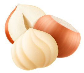 Set of realistic hazelnuts. Whole and half hazelnut isolated on white background. Peeled and unpeeled nuts. Hazelnut kernels are ripe and tasty, a source of protein. 3d vector illustration.