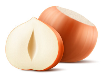 Set of realistic hazelnuts. Whole and half hazelnut isolated on white background. Peeled and unpeeled nuts. Hazelnut kernels are ripe and tasty, a source of protein. 3d vector illustration.