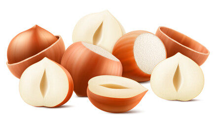 Set of realistic hazelnuts. Whole and half hazelnut isolated on white background. Peeled and unpeeled nuts. Hazelnut kernels are ripe and tasty, a source of protein. 3d vector illustration.