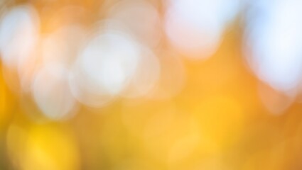 Fototapeta premium a soft blur of golden hues evokes warmth and tranquility in nature