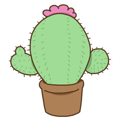 cactus in a pot