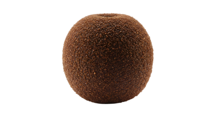 Isolated close up of a single kiwi fruit with brown fuzzy skin against a black background studio shot
