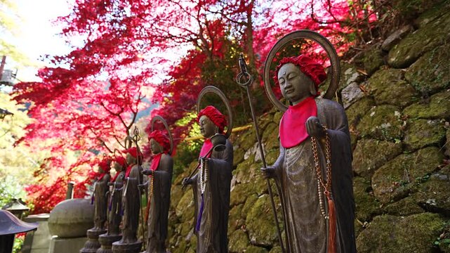The Japanese Six Jizo statue and Japanese red autumn leaves at Oyama-dera temple
