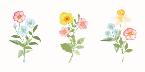 watercolor arrangements with small flower. Botanical illustration minimal style.