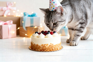 Curious Cat in Birthday Hat Sniffing Cake on Table with Gift Boxes, Ribbons and Glowing Fairy Lights, Festive Pet Celebration Scene, Copy Space for Text or Design