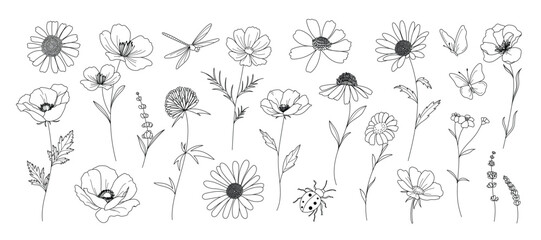 minimal line flower and botanical graphic sketch drawing, trendy tiny tattoo design, floral elements vector illustration
