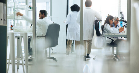 Busy, science and walking with people in laboratory together for medical or pharmaceutical research. Development, innovation and medicine with scientist team at work on clinical trial or experiment