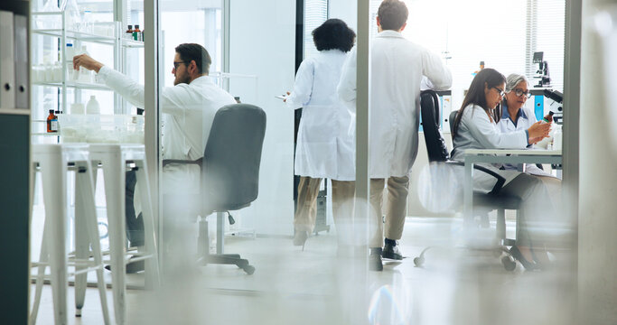 Busy, science and walking with people in laboratory together for medical or pharmaceutical research. Development, innovation and medicine with scientist team at work on clinical trial or experiment