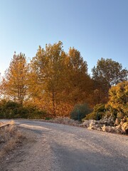 road in autumn