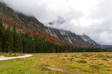 alpine mountains in autumn. atmospheric colorful lush autumn forest in foggy valley surrounded by mountain range. autumn aesthetics. artistic autumn