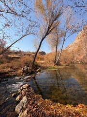 river in autumn