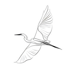 Minimalist one line art illustration of a large bird in flight