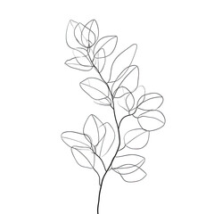 Abstract One Line Drawing of a Eucalyptus Branch with Organic Leaves