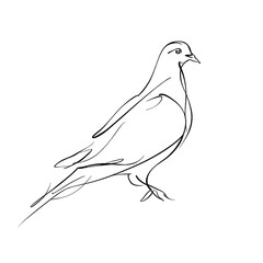 Minimalist one line art illustration of a serene dove standing peacefully