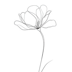 Graceful one line illustration of a delicate flower with detailed center.