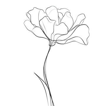 Artistic single line drawing of a beautiful flower with elegant petals.