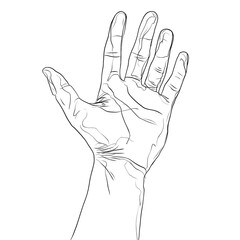 Striking One-Line Art Illustration of an Open Human Hand with Fingers Spread