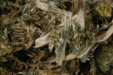 Actinolite (variety Bissolite) from Hohe Tauern, Eastern Alps, Salzburg — professional macro, micro mineral photography under magnification