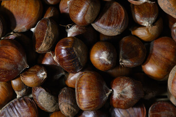 Many Chestnuts from Kvemo Kartli Close-Up as Background Georgian Autumn