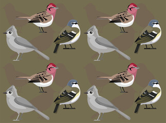 Obraz premium Vireo Titmouse Finch Cartoon Character Seamless Wallpaper Background