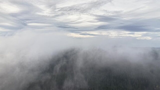 Dawn fog unveils, Early day fog lifts showcasing distant views, Sunrise fog gently clears to reveal picturesque scenery