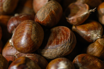 Many Georgian Edible Chestnuts Close-Up as Background Kakheti Autumn