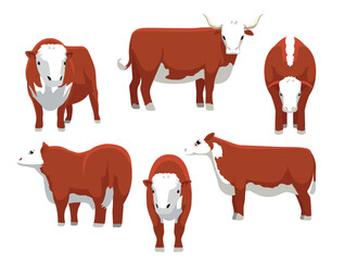 Hereford Cattle Various Poses Cartoon Vector Character